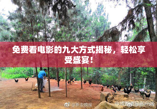 免费看电影的九大方式揭秘，轻松享受盛宴！