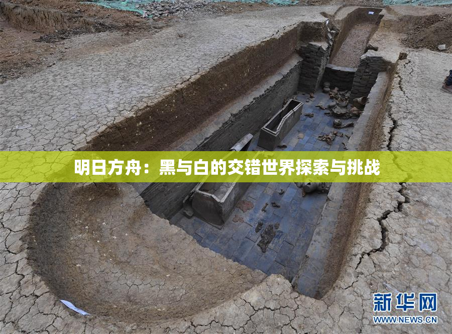 明日方舟：黑与白的交错世界探索与挑战