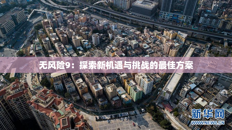无风险9：探索新机遇与挑战的最佳方案