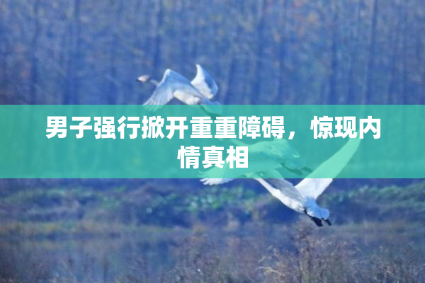 男子强行掀开重重障碍，惊现内情真相
