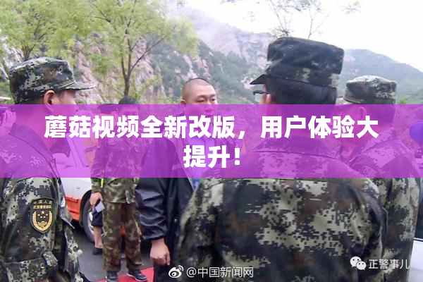蘑菇视频全新改版，用户体验大提升！