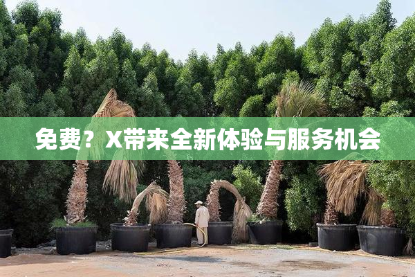 免费？X带来全新体验与服务机会