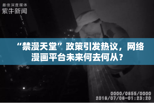 “禁漫天堂”政策引发热议，网络漫画平台未来何去何从？