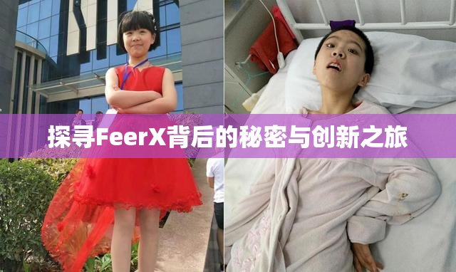 探寻FeerX背后的秘密与创新之旅