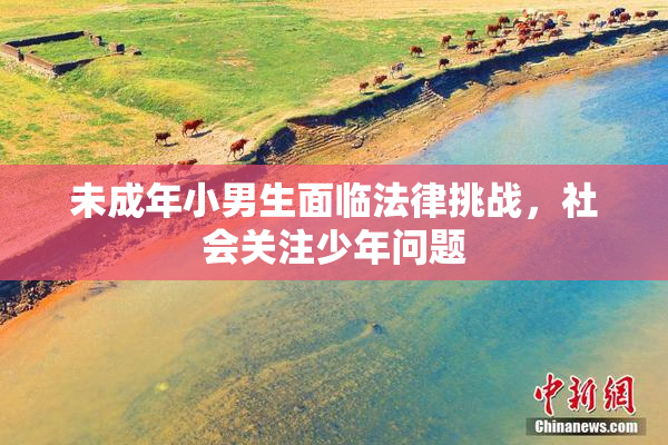 未成年小男生面临法律挑战，社会关注少年问题