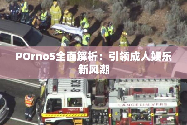 POrno5全面解析：引领成人娱乐新风潮
