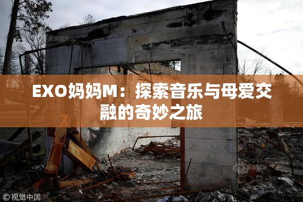 EXO妈妈M：探索音乐与母爱交融的奇妙之旅