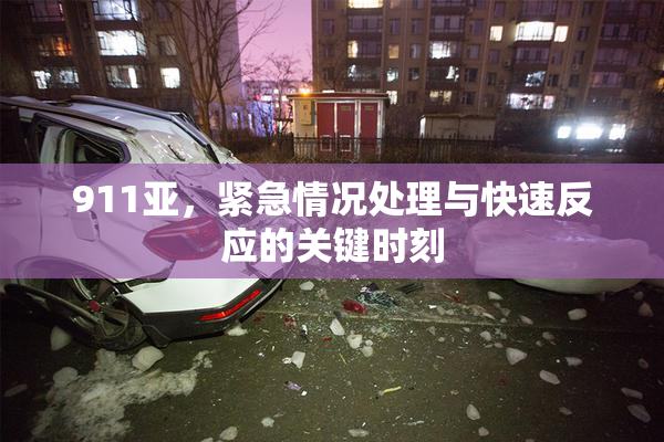 911亚，紧急情况处理与快速反应的关键时刻