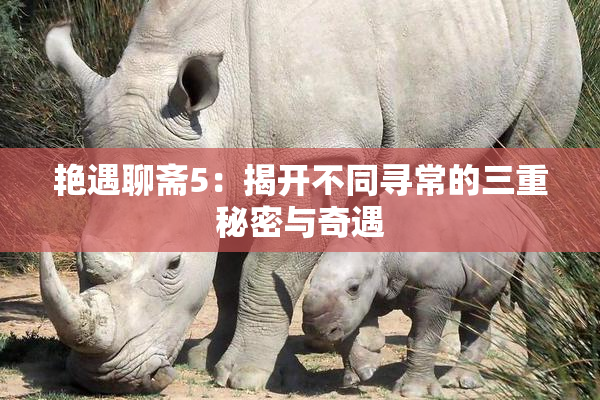 艳遇聊斋5：揭开不同寻常的三重秘密与奇遇