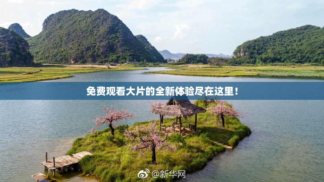 免费观看大片的全新体验尽在这里！