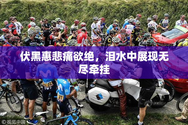 伏黑惠悲痛欲绝，泪水中展现无尽牵挂