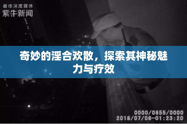 奇妙的淫合欢散，探索其神秘魅力与疗效