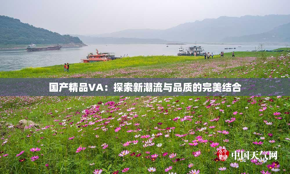 国产精品VA：探索新潮流与品质的完美结合