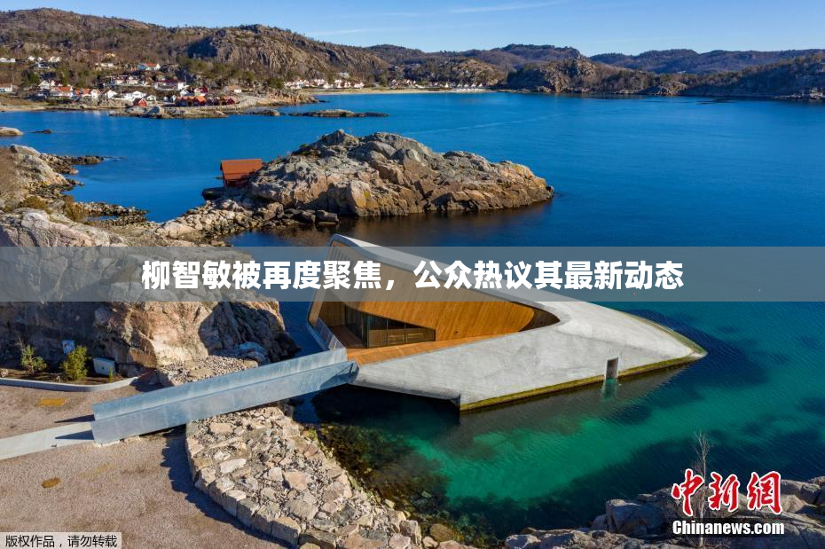 柳智敏被再度聚焦，公众热议其最新动态