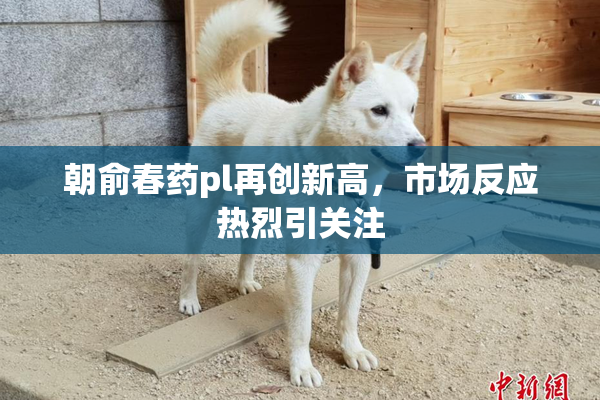 朝俞春药pl再创新高，市场反应热烈引关注