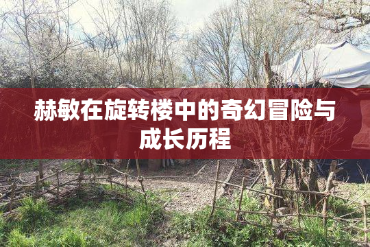 赫敏在旋转楼中的奇幻冒险与成长历程