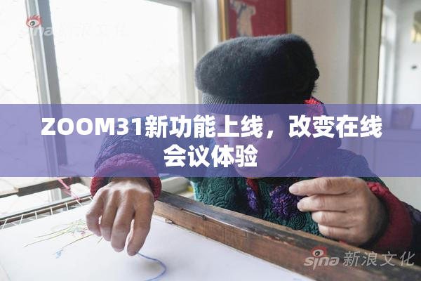 ZOOM31新功能上线，改变在线会议体验