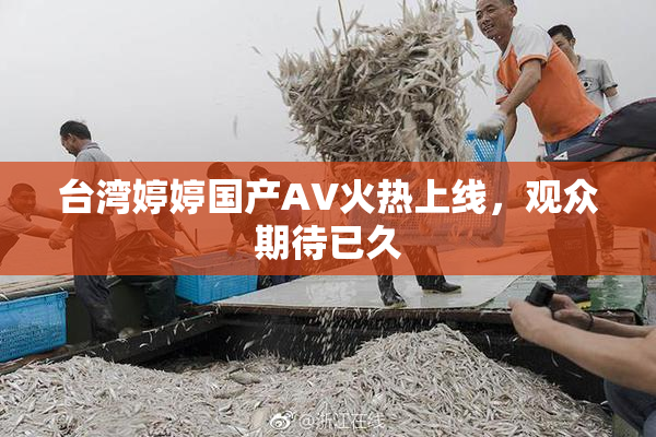 台湾婷婷国产AV火热上线，观众期待已久