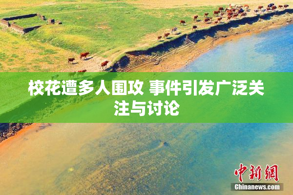 校花遭多人围攻 事件引发广泛关注与讨论