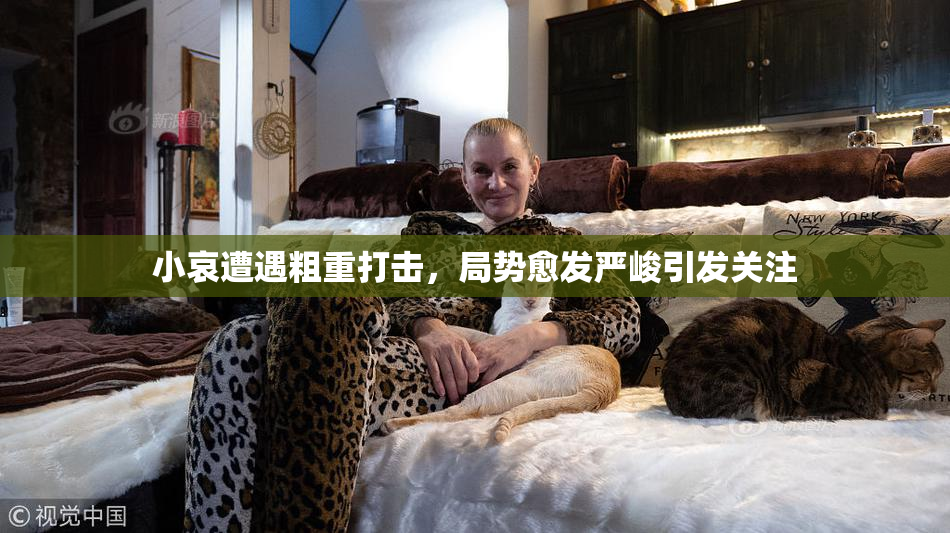小哀遭遇粗重打击，局势愈发严峻引发关注