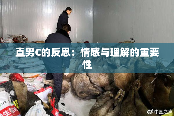 直男C的反思：情感与理解的重要性