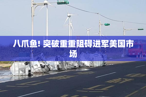 八爪鱼! 突破重重阻碍进军美国市场