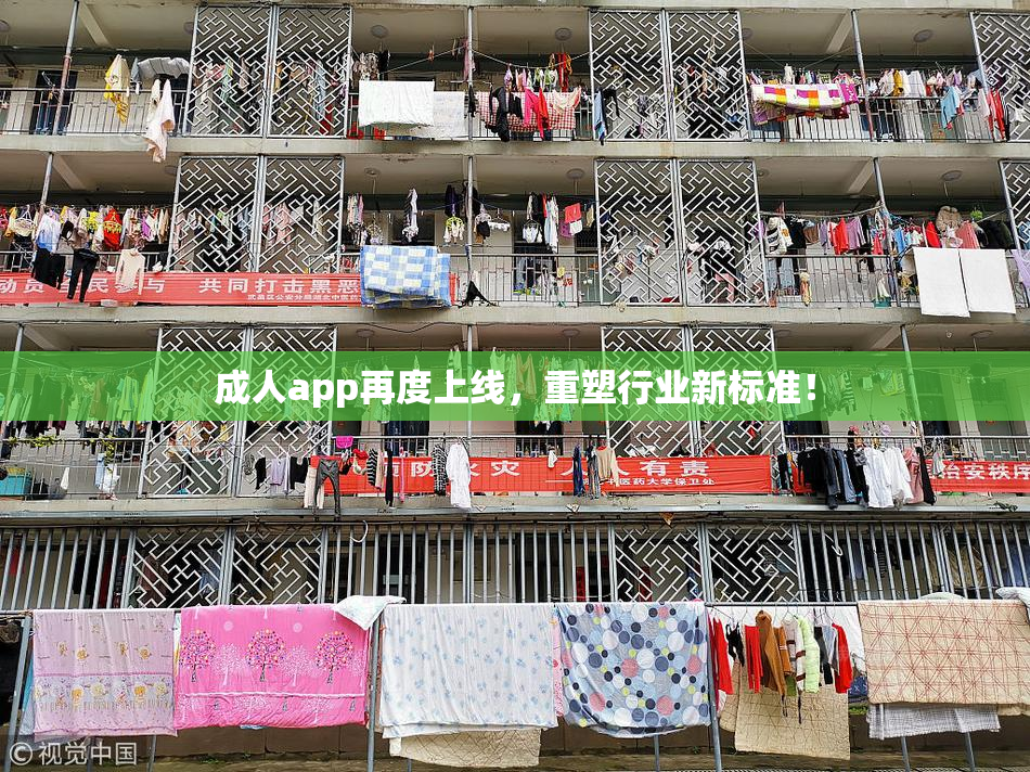成人app再度上线，重塑行业新标准！