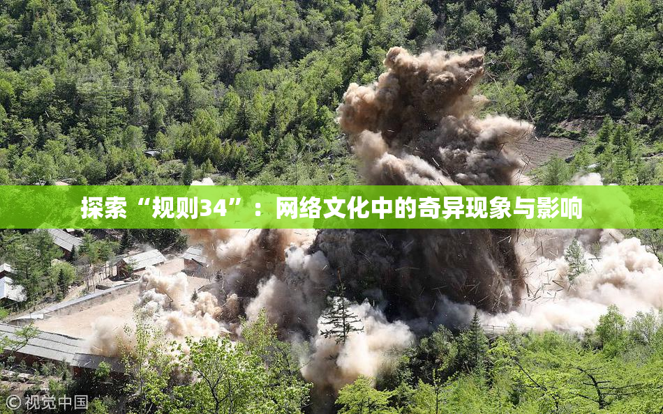 探索“规则34”：网络文化中的奇异现象与影响