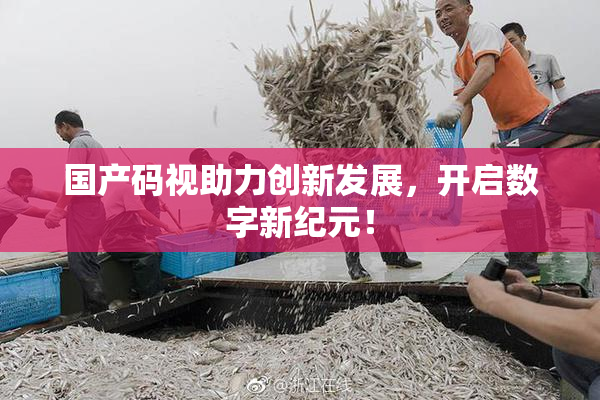 国产码视助力创新发展，开启数字新纪元！
