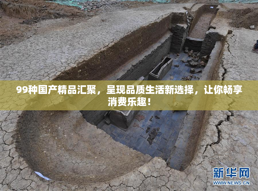 99种国产精品汇聚，呈现品质生活新选择，让你畅享消费乐趣！