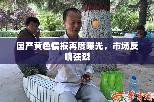 国产黄色情报再度曝光，市场反响强烈