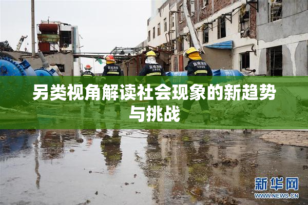 另类视角解读社会现象的新趋势与挑战