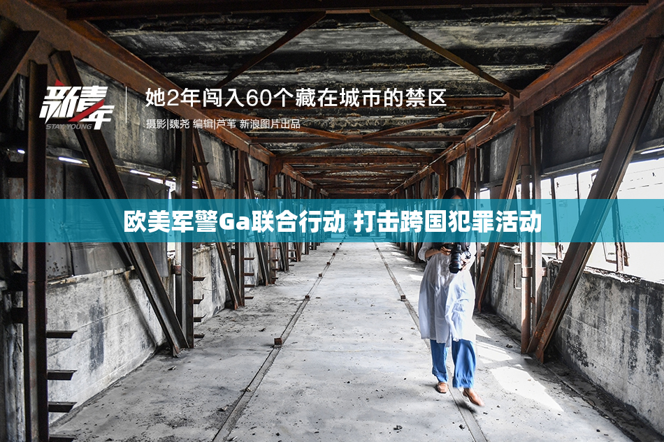 欧美军警Ga联合行动 打击跨国犯罪活动