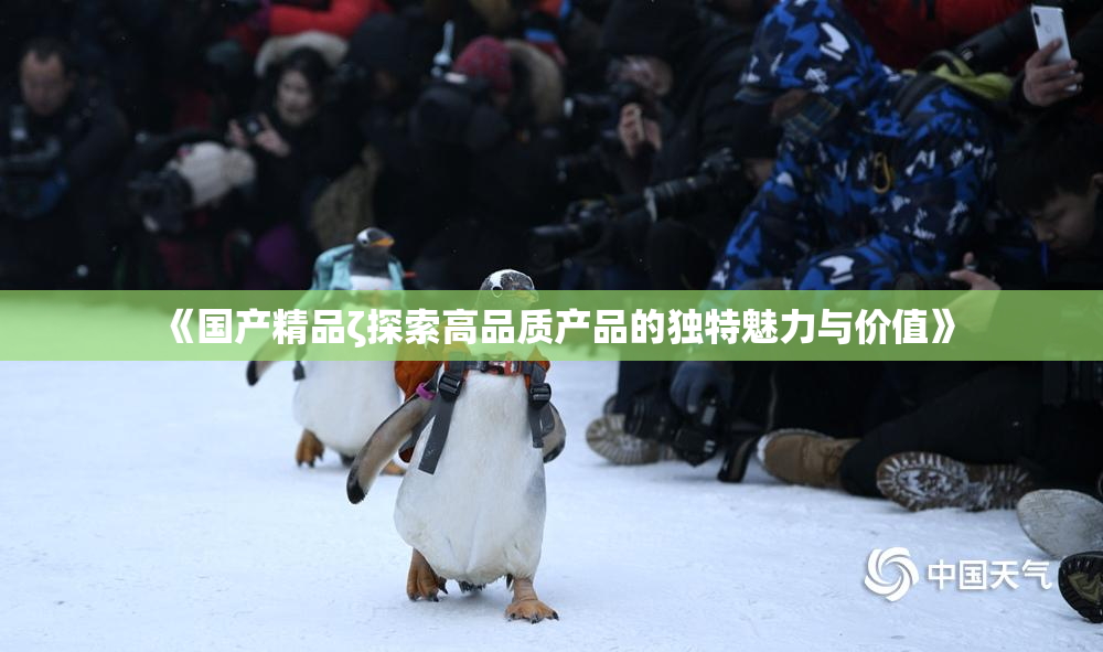 《国产精品ζ探索高品质产品的独特魅力与价值》