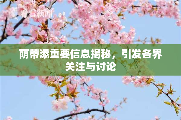 荫蒂添重要信息揭秘，引发各界关注与讨论
