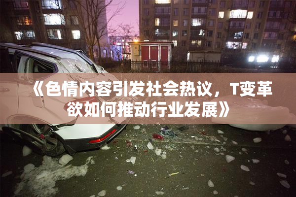 《色情内容引发社会热议，T变革欲如何推动行业发展》