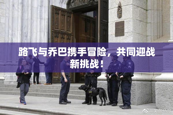 路飞与乔巴携手冒险，共同迎战新挑战！