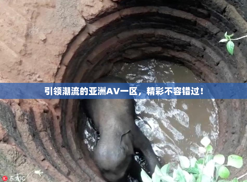 引领潮流的亚洲AV一区，精彩不容错过！