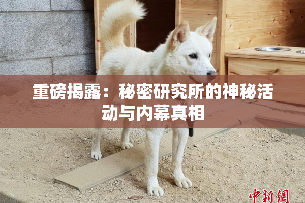 重磅揭露：秘密研究所的神秘活动与内幕真相