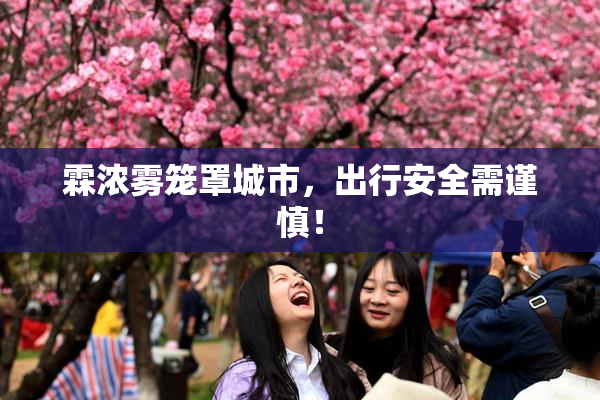 霖浓雾笼罩城市，出行安全需谨慎！