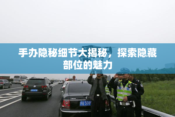 手办隐秘细节大揭秘，探索隐藏部位的魅力