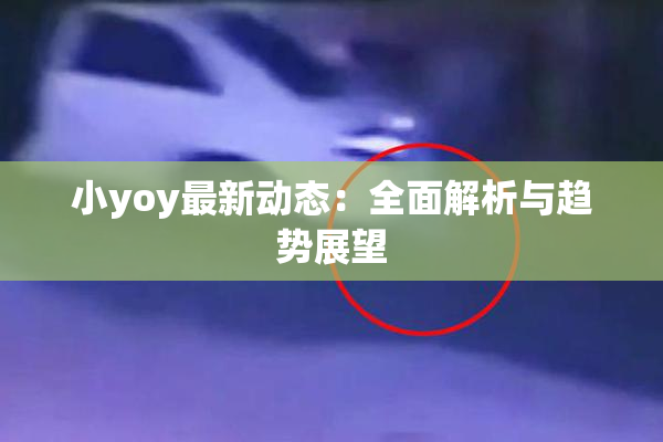 小yoy最新动态：全面解析与趋势展望