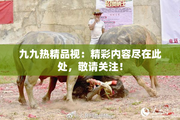 九九热精品视：精彩内容尽在此处，敬请关注！