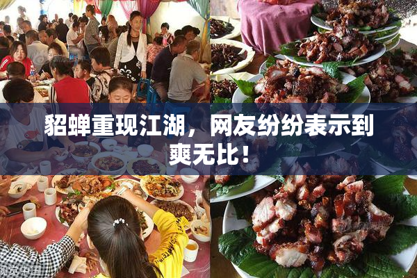 貂蝉重现江湖，网友纷纷表示到爽无比！