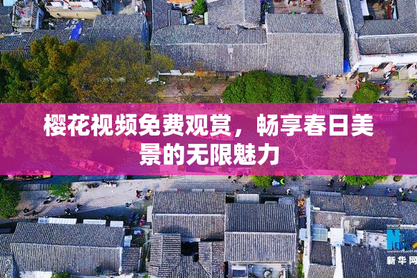樱花视频免费观赏，畅享春日美景的无限魅力