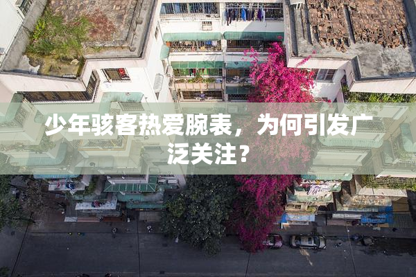 少年骇客热爱腕表，为何引发广泛关注？