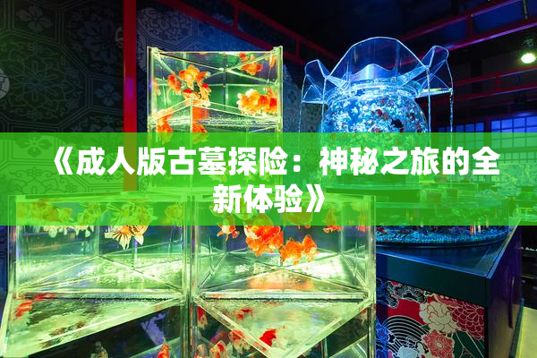 《成人版古墓探险：神秘之旅的全新体验》