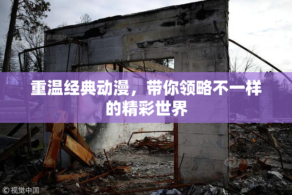 重温经典动漫，带你领略不一样的精彩世界