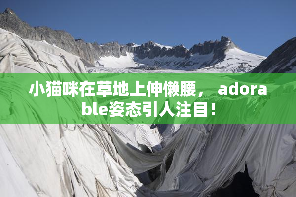 小猫咪在草地上伸懒腰， adorable姿态引人注目！