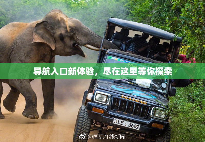 导航入口新体验，尽在这里等你探索